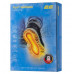 купити Хімічна грілка для ніг 2E розмір L (265 мм), до 8 годин в Україні на AGROmachine.com.ua