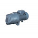 Насос поверхневий Насоси + (NPO) JSWm 15M