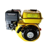 Двигун бензиновий Forte F200G