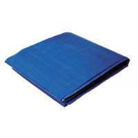 Тент MASTER TOOL 79-9012 10х12 м, синій