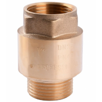 Клапан зворотнього ходу PROFESSIONAL 1`` QP100 (14114) Клапан зворотнього ходу PROFESSIONAL 1`` QP100 (14114)