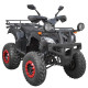 Квадроцикл Spark SP250-4 (заводська упаковка) (Чорний)