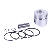 Поршневий комплект STD 95,00 мм ТАТА на дизельний двигун GZ 195N, 9 одиниць Поршневий комплект STD 95,00 мм ТАТА на дизельний двигун GZ 195N, 9 одиниць