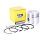 Поршневий комплект 95,00 мм STD: 9 одиниць - ZUBR original - 195N Y-BOX