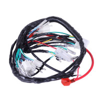 Проведення центральне ТАТА на мопед Дельта