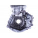 купити Блок двигуна ТАТА на бензиновий двигун P70F в Україні на AGROmachine.com.ua