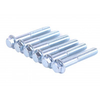 Болти кріплення бічної кришки TATA на бензиновий двигун P70F