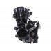 купити Двигун CG300-2 ТАТА на мотоцикл, 170мм (з водяним охолодженням, бензиновий) в Україні на AGROmachine.com.ua