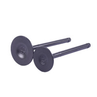 Клапана TATA на бензиновий двигун CG300 Клапана TATA на бензиновий двигун CG300