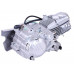 купити Двигун W190 1P62FMJ X-PIT + нижній електростартер, 5 передач, масляне охл. в Україні на AGROmachine.com.ua
