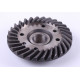 Шестерня конічна ведена головною парою переднього мосту Jinma 184/200/244/254