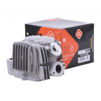 Головка циліндра в зборі 52 мм - Актив/Дельта/Альфа - TTG