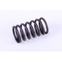 Пружина клапана зовнішня DLH1100 Пружина клапана зовнішня DLH1100