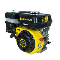 Двигун бензиновий Кентавр ДВЗ-200Б (2019)